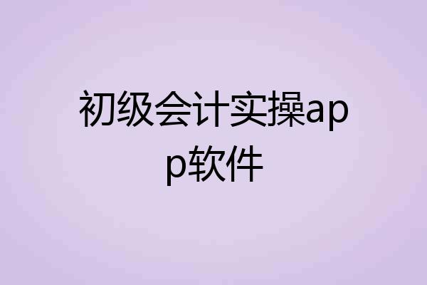 初级会计实操app软件