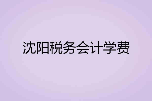 沈阳税务会计学费