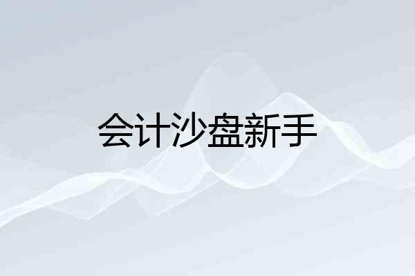 会计沙盘新手