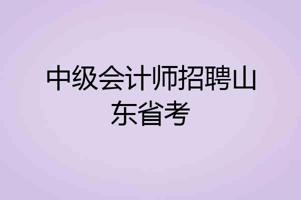 中级会计师招聘山东省考
