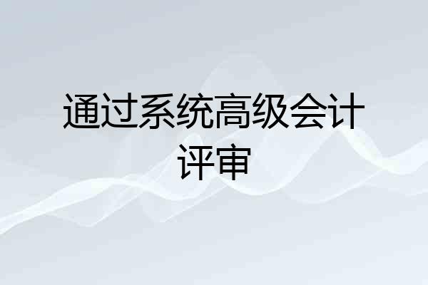 通过系统高级会计评审