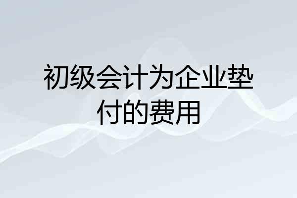 初级会计为企业垫付的费用