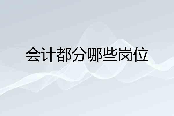 会计都分哪些岗位