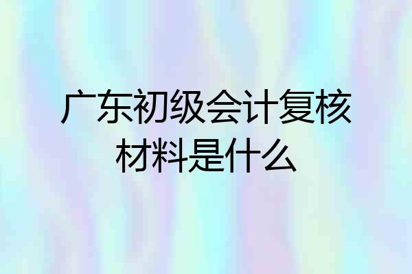 广东初级会计复核材料是什么