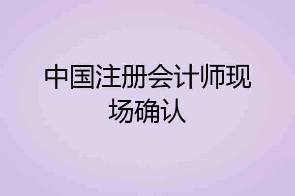 中国注册会计师现场确认