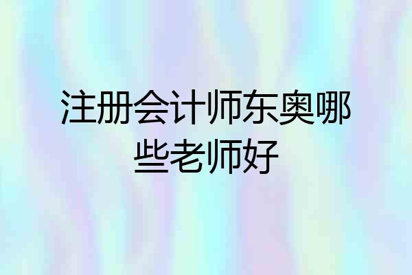注册会计师东奥哪些老师好