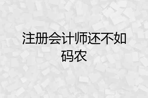 注册会计师还不如码农