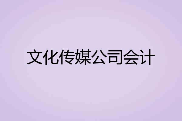 文化传媒公司会计