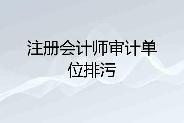 注册会计师审计单位排污