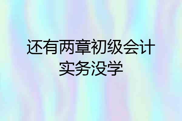 还有两章初级会计实务没学
