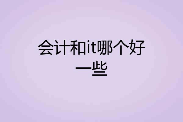 会计和it哪个好一些