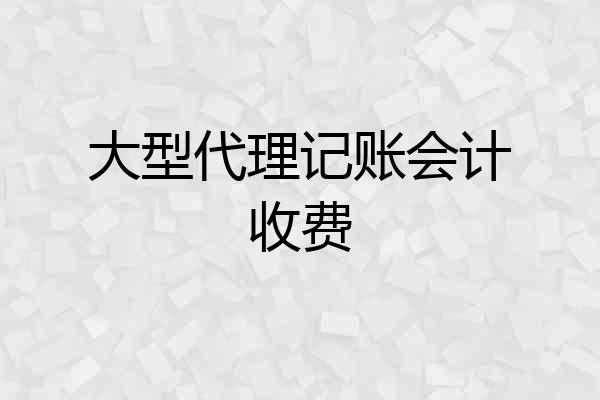 大型代理记账会计收费