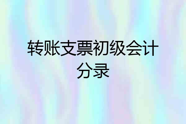 转账支票初级会计分录