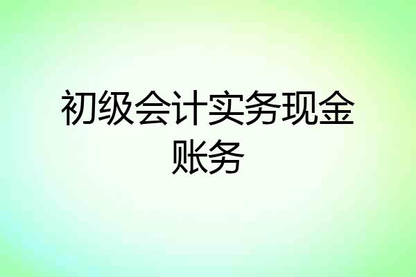 初级会计实务现金账务