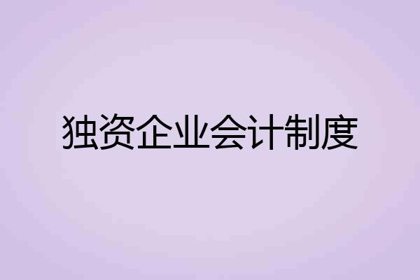 独资企业会计制度