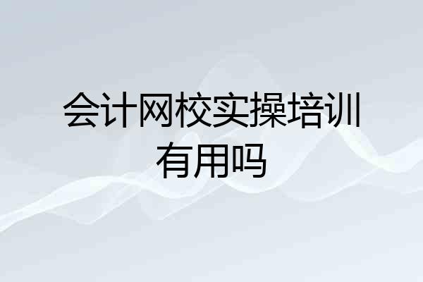 会计网校实操培训有用吗