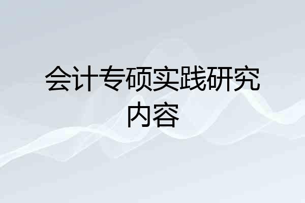 会计专硕实践研究内容