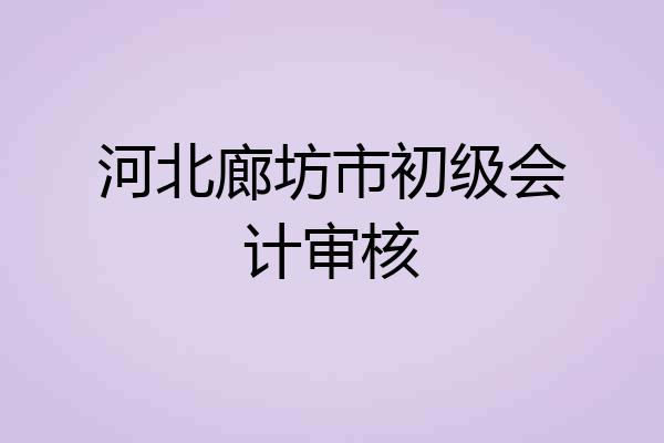 河北廊坊市初级会计审核