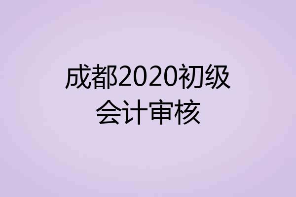 成都2020初级会计审核