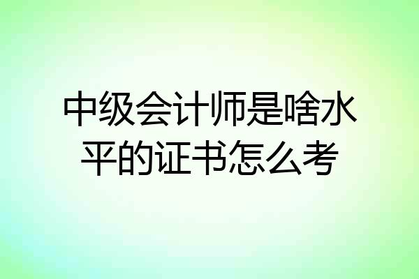 中级会计师是啥水平的证书怎么考