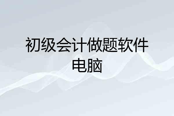 初级会计做题软件电脑
