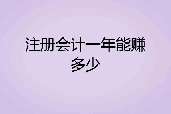 注册会计一年能赚多少