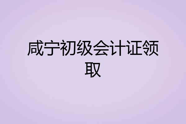 咸宁初级会计证领取