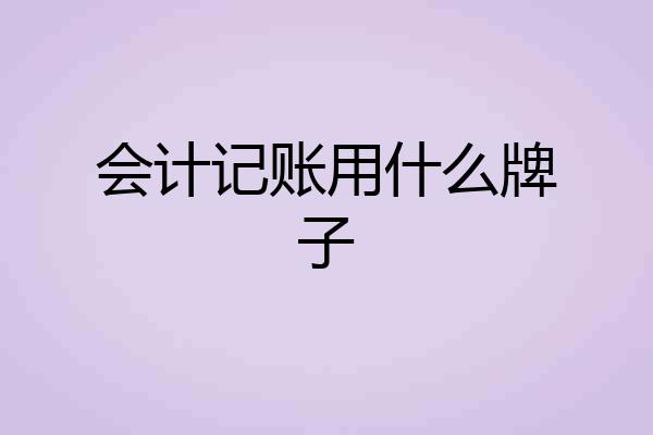 会计记账用什么牌子