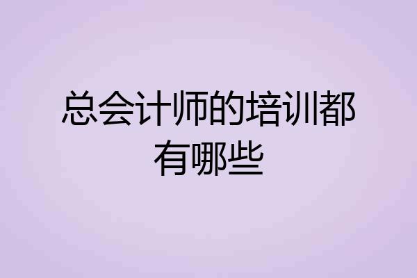 总会计师的培训都有哪些