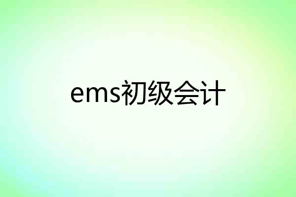 ems初级会计
