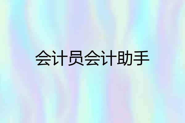 会计员会计助手