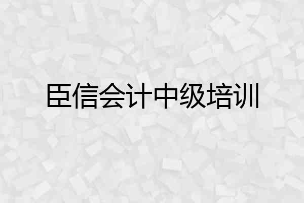 臣信会计中级培训