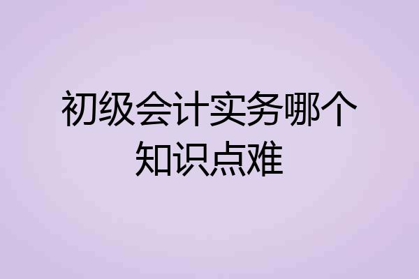 初级会计实务哪个知识点难