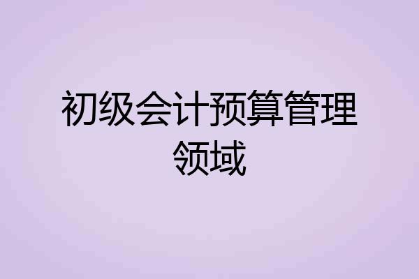 初级会计预算管理领域
