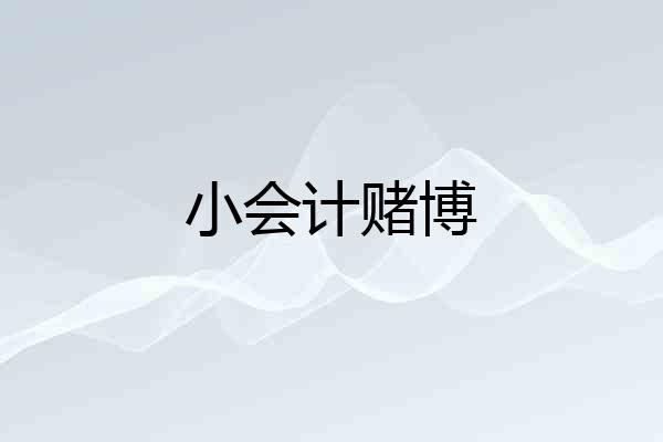小会计赌博