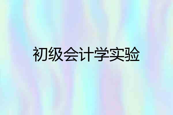 初级会计学实验