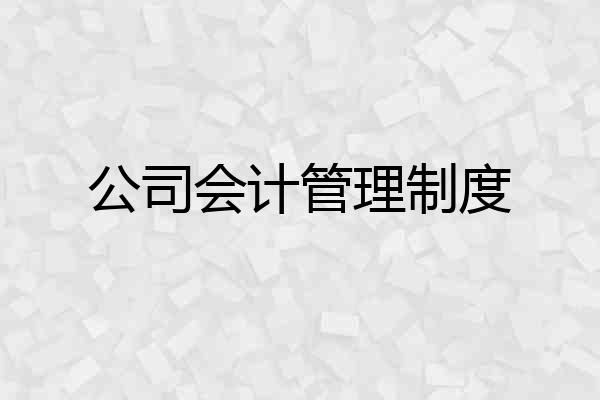 公司会计管理制度