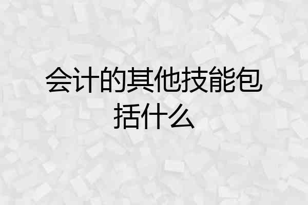 会计的其他技能包括什么