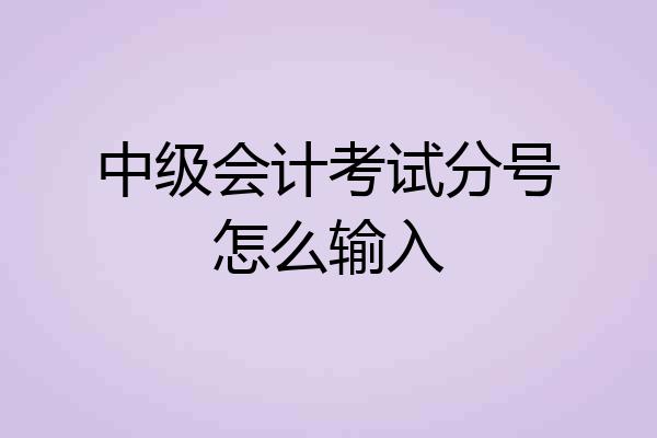 中级会计考试分号怎么输入