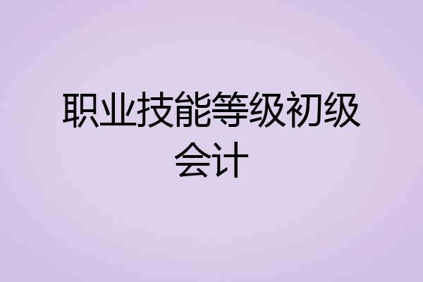 职业技能等级初级会计