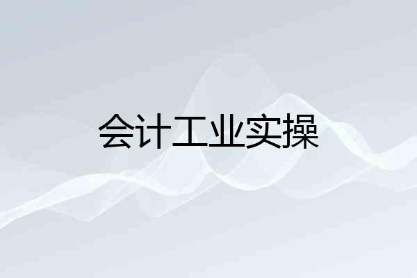 会计工业实操