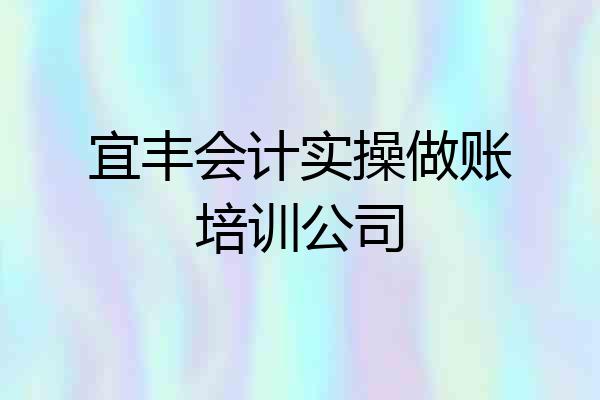 宜丰会计实操做账培训公司