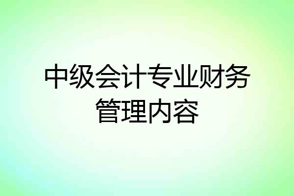 中级会计专业财务管理内容