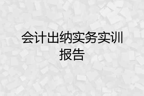 会计出纳实务实训报告