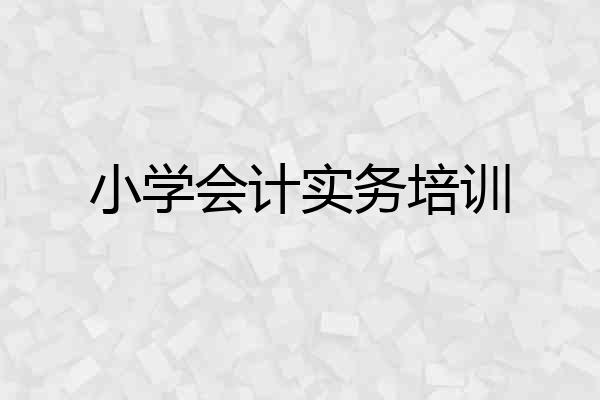 小学会计实务培训