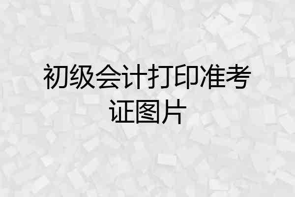 初级会计打印准考证图片