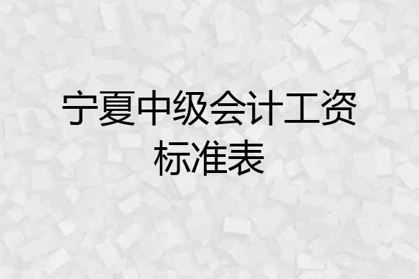 宁夏中级会计工资标准表