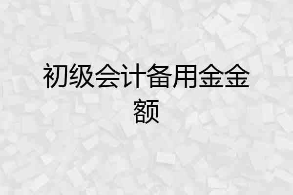 初级会计备用金金额