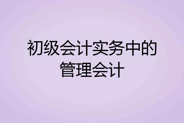 初级会计实务中的管理会计
