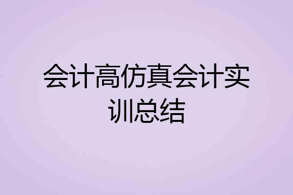 会计高仿真会计实训总结